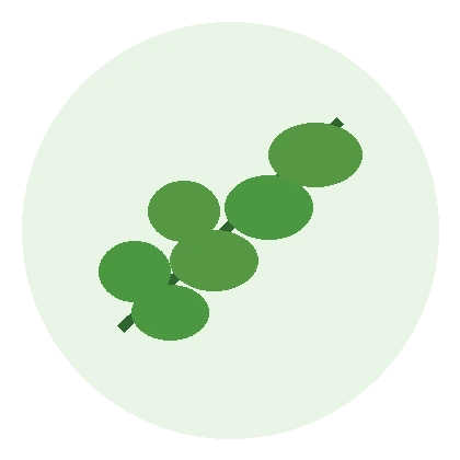 Moringa